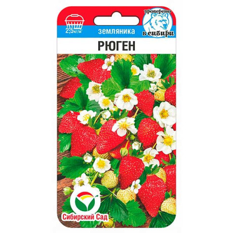 Земляника Рюген СибСад