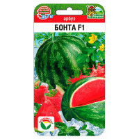Арбуз Бонта СибСад Ц