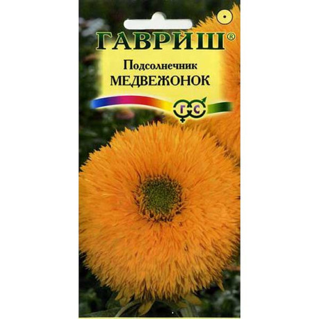 Подсолнечник Медвежонок Гавриш Ц