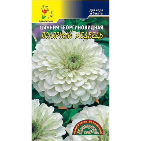 Циния Полярный медведь ЦветСад Ц