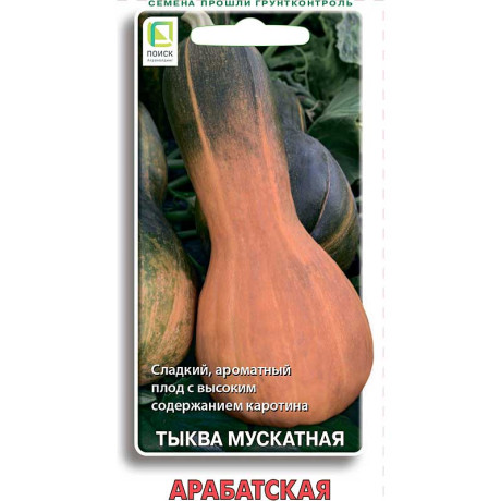 Тыква Арабатская Поиск Ц