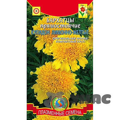 Бархатцы Купидон Лимонно-желтый Плазма Ц