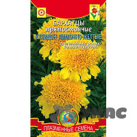 Бархатцы Купидон Лимонно-желтый Плазма Ц