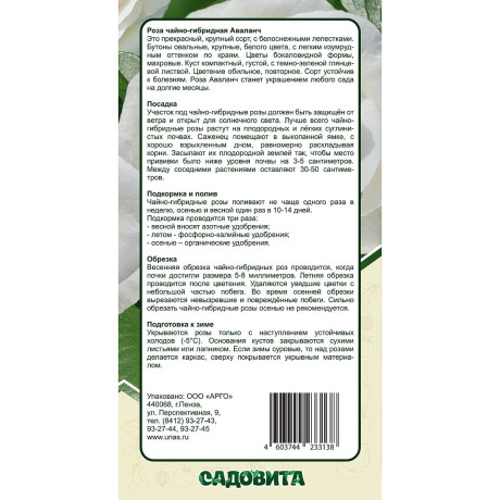 Роза чайно-гибридная Аваланч Садовита