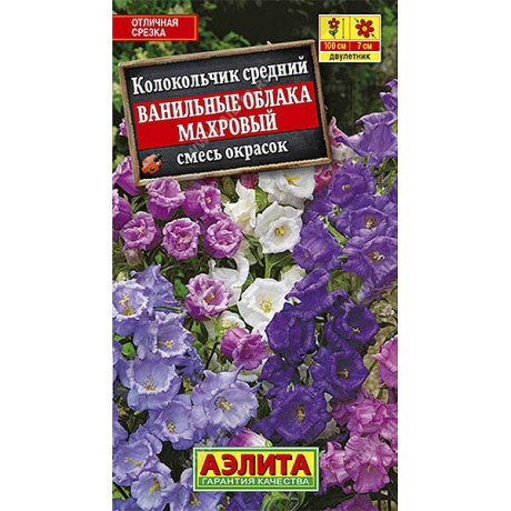 Колокольчик Ванильные облака махров. Аэлита Ц