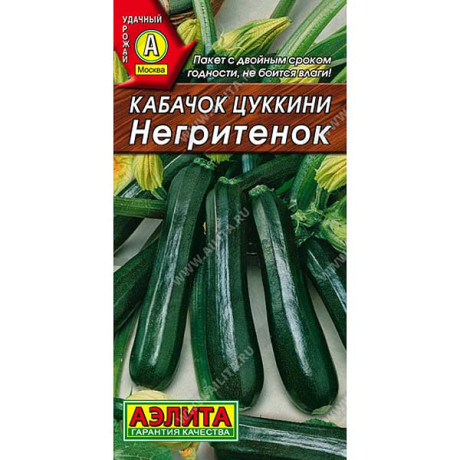 Кабачок Негритенок Аэлита Ц
