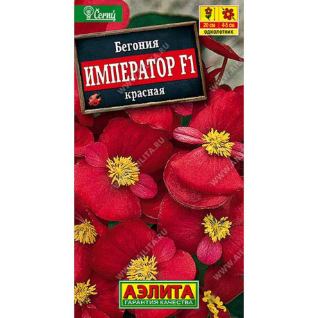 КОМ Бегония Император красная Аэлита Ц