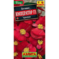КОМ Бегония Император красная Аэлита Ц