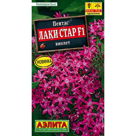 Пентас Лаки стар виолет Аэлита Ц