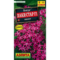 Пентас Лаки стар виолет Аэлита Ц