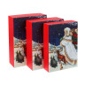 Набор подарочных коробок тм СНОУ БУМ, 3 размера 21x29x9см, 20x27x8см, 18x26x6см, картон