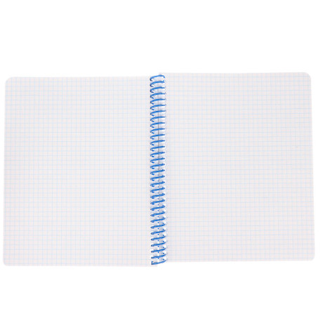 Тетрадь общая, 96 листов, в клетку, БЕЛЫЕ ЛИСТЫ, обл.мел. картон, спираль, микс