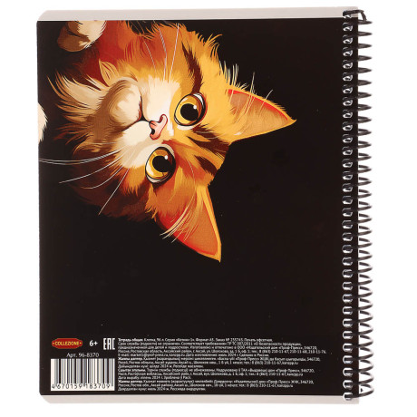 Тетрадь общая, 96 листов, в клетку, БЕЛЫЕ ЛИСТЫ, обл.мел. картон, спираль, микс