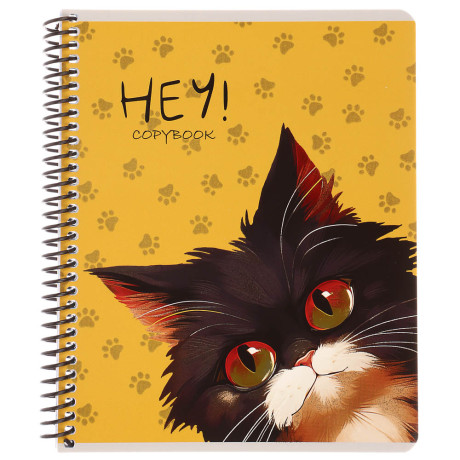 Тетрадь общая, 96 листов, в клетку, БЕЛЫЕ ЛИСТЫ, обл.мел. картон, спираль, микс