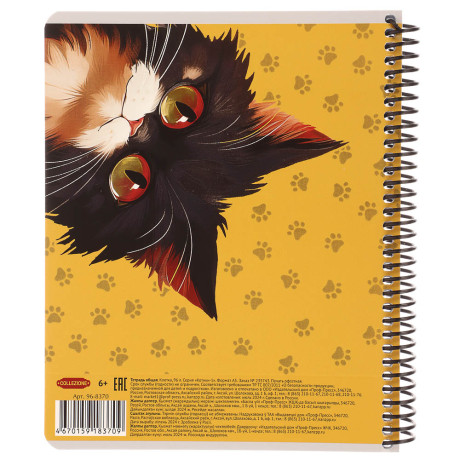 Тетрадь общая, 96 листов, в клетку, БЕЛЫЕ ЛИСТЫ, обл.мел. картон, спираль, микс