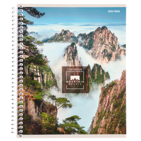 Тетрадь общая, 96 листов, в клетку, БЕЛЫЕ ЛИСТЫ, обл.мел. картон, спираль, микс