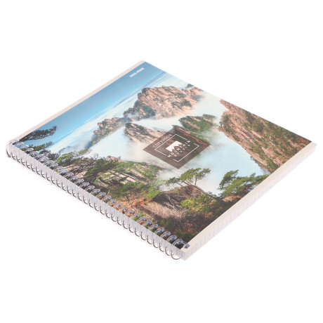 Тетрадь общая, 96 листов, в клетку, БЕЛЫЕ ЛИСТЫ, обл.мел. картон, спираль, микс