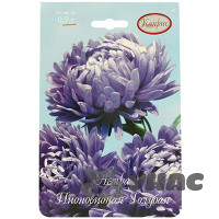 К Астра Голубая лагуна (Голубая Пионовидная) Каприс