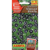 Семена Немофила Темная вуаль Аэлита Ц