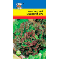 Салат Осенний дуб Урожай у дачи Ц