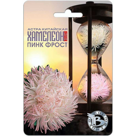 Астра Хамелеон SELECT Пинк Фрост Биотехника Ц