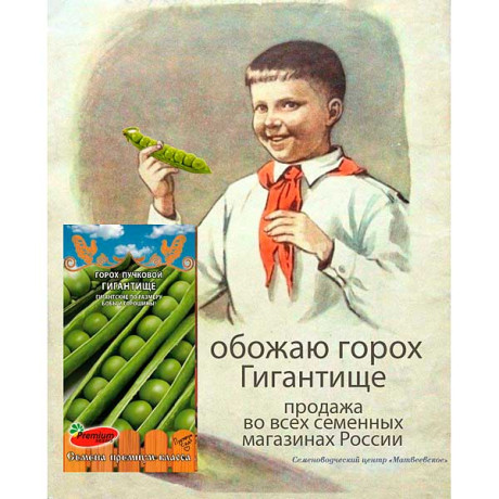 Горох Гигантище Премиум Сидс Ц
