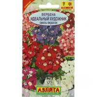 Вербена Идеальный Художник гибридная смесь окрасок Аэлита Ц