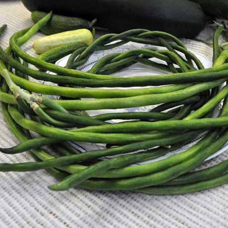 Фасоль Вигна Спагетти НК Ц