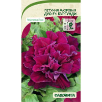 Петуния Дуо F1 Бургунди махровая 5др PanAmerican/Садовита Ц