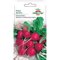 Редис Жара Седек Ц