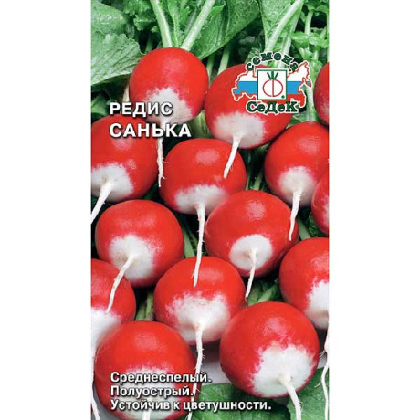 Редис Санька Седек Ц