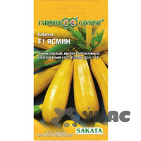 Кабачок Ясмин Гавриш Ц