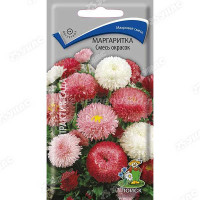 Маргаритка смесь окрасок Поиск Ц