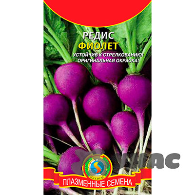 Редис Фиолет Плазма Ц
