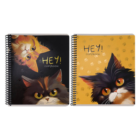 Тетрадь общая, 96 листов, в клетку, БЕЛЫЕ ЛИСТЫ, обл.мел. картон, спираль, микс