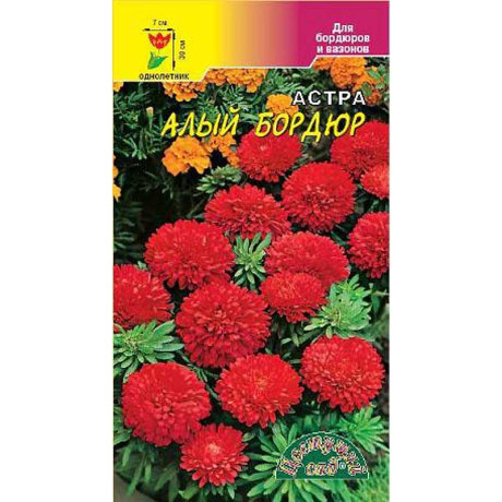 Астра Бордюр Алый ЦветСад Ц