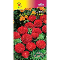Астра Бордюр Алый ЦветСад Ц