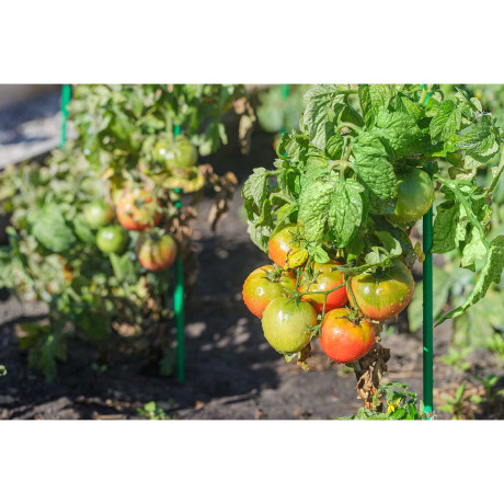 Колышки 1м труба 10мм САДОВИТА (комплект 10шт)