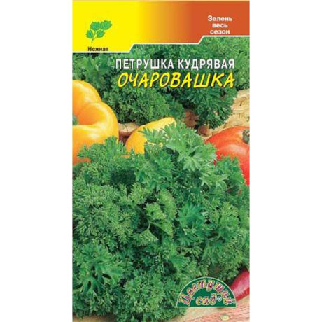 Петрушка кудрявая Очаровашка ЦветСад Ц