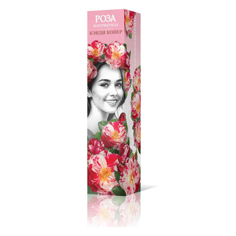 Роза флорибунда Кэнди Ковер Садовита