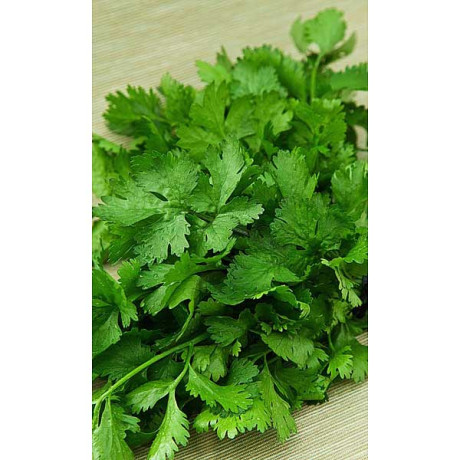 Семена Кориандр Малахитовый титан Марс Ц