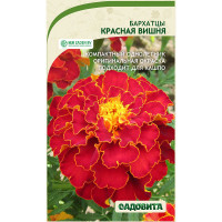 Бархатцы Красная вишня 0,3гр Садовита Ц