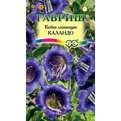 Кобея Лазающая Каландо Гавриш Ц