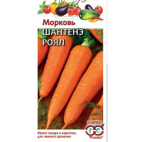Морковь Шантенэ Роял Гавриш Ц