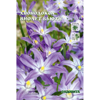 Хионодокса Виолет Бьюти 5/+ 10 шт Садовита
