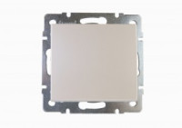 Lezard RAIN мех. выкл. СУ 1 кл. жемчужно-бел. перламутр (корпус PC) 703-3088-100