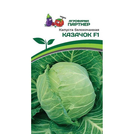 Капуста Казачок Партнер Ц