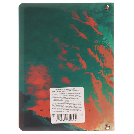 Тетрадь на кольцах А5, 80 л., клетка, обложка пластик, белый блок, микс