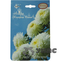 К Астра Княжна Ольга (Принцесса Белая) Каприс