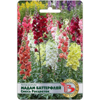 Антирринум Мадам Баттерфляй смесь Биотехника Ц